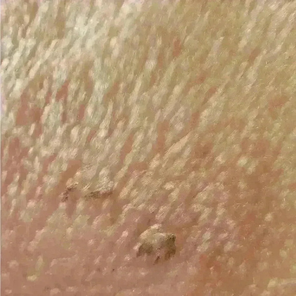 Beautiful Vintage Disney Cinderella Queen Size Plush Blanket Cozy Warm Nostalgia - Picture 5 of 5